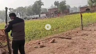 जतारा: तहसीलदार ने प्राथमिक शाला चतुरकारी की बाउंड्रीवाल से अवैध अतिक्रमण हटवाया