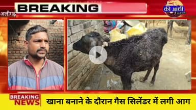 अलीगढ़- खाना बनाने के दौरान गैस सिलेंडर में लगी आग,परिवार ने घर से बाहर दौड़ कर बचाई जान।