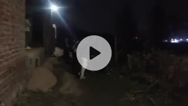 शाहजहांपुर: थाना आरसी मिशन क्षेत्र में मारपीट के दौरान घायल हुई महिला की इलाज के दौरान मौत, घटना का वीडियो हुआ वायरल