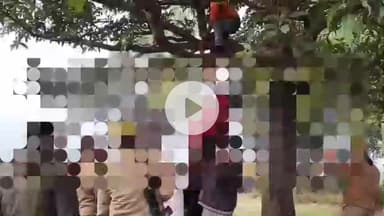 शाहबाद: सिकंदरपुर नरकतरा गांव में संदिग्ध परिस्थितियों में पेड़ से लटका मिला युवक का शव, पिता ने हत्या का आरोप लगाया