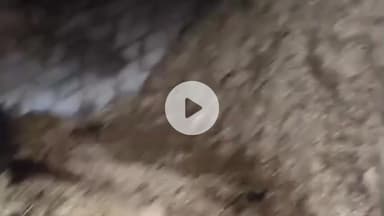 हमीरपुर: पंधरी गांव में अज्ञात कारणों से लगी आग, गाय झुलसी