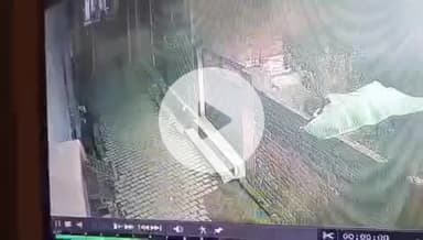 इटावा: अड्डा गूलर में पशुपालक के घर से गाय चोरी करते तीन युवक सीसीटीवी कैमरे में कैद, पीड़ित ने पुलिस से की शिकायत