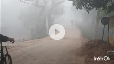 आरा: भोजपुर में कड़ाके की ठंड व घने कोहरे को लेकर भोजपुर जिला अधिकारी का आया बयान, दो दिनों का अलर्ट