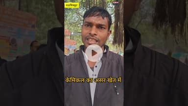 गेहूं के खेत में केमिकल डाल देने के कारण फसल नहीं हुई मौत तहसील में दिया शिकायती पत्र #खबर #जानकारी