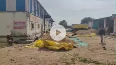 गाडरवारा: कलेक्टर के निर्देश के बाद धान तुलाई केंद्र, वेयरहाउस में सुचारू रूप से कार्य जारी