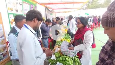 सागर नगर: सागर में 'जैविक हाट बाजार' का आगाज: पीटीसी ग्राउंड में हर हफ्ते लगेगा बाजार, पहले ही दिन 50 हजार की हुई बिक्री