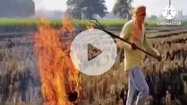 नूरसराय: नूरसराय में पराली जलाने वाले किसानों पर होगी सख्त कार्रवाई, दोषी किसानों का डीबीटी पंजीकरण रद्द