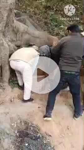 चेनारी: पुलिस ने कई भट्टियों को किया ध्वस्त