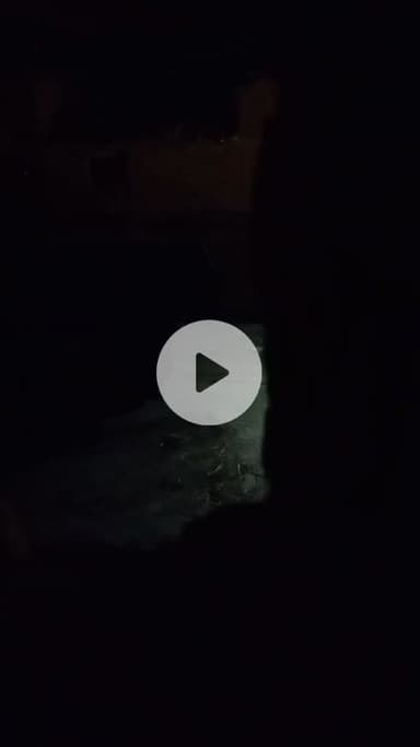 dheke bihar Rohtash ke bikramganj ke pass mai ladki ke saath mai aniyan