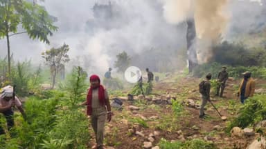 ପାରଳାଖେମୁଣ୍ଡି: ସୁନ୍ଦୁରବା ଗ୍ରାମ ନିକଟସ୍ଥ ଗ୍ରାମରୁ ଗଞେଇ ଚାଷ ନଷ୍ଟ କଲା ପୋଲିସ