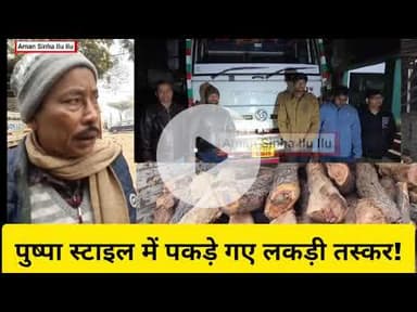 नवादा जंगल में 'पुष्पा राज' बनने की कोशिश, लेकिन थप्पड़ पड़ा वन विभाग का!