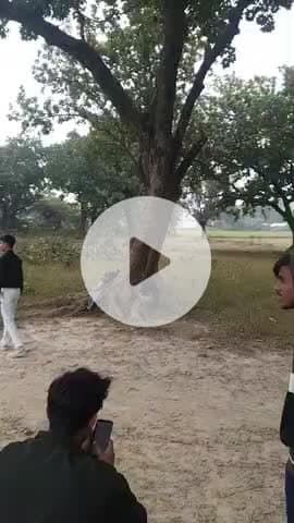 बिरौती ग्राम में विशाल मैच का आयोजन हुआ है जहां पर दर्शकों की भीड़ सामने देखने को मिली #बिरौली #ग्राम #today