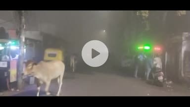 इटावा: घने कोहरे की चादर ने पूरे शहर को ढका, सर्दी के कारण लोग घरों में हुए कैद, दृश्यता हुई जीरो