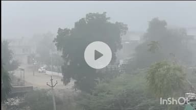 टोंक: टोंक में आज नहीं हुए सूर्य देव के दर्शन, शहर कोहरे में लिपटा रहा