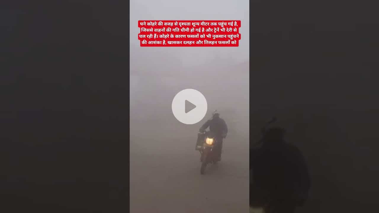 सतना में घने कोहरे की वजह से दृश्यता शून्य मीटर तक पहुंच गई है,#viralvideo#मौसम #ठंड #कोहरा