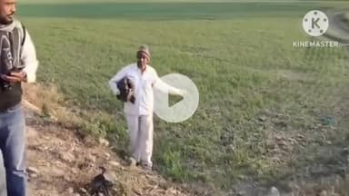 पानीपत: इसराना विधानसभा को जल्द मिलेगी नई बस स्टैंड की सौगात, तैयारी ज़ोरो पर