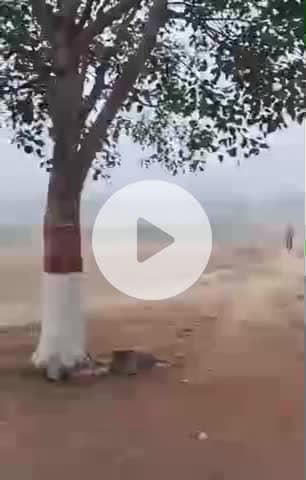 टीकमगढ़: टीकमगढ़ में कड़ाके की ठंड, अधिकतम तापमान 6.5 डिग्री सेल्सियस तक गिरा