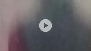 आंवला: आंवला के रामनगर में जानलेवा हमला कर मारपीट, खेत में पानी विवाद को लेकर हुआ विवाद, वीडियो वायरल