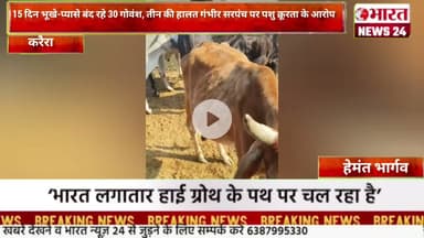 15 दिन भूखे-प्यासे बंद रहे 30 गोवंश, तीन की हालत गंभीर सरपंच पर पशु @Bharattnews24#bharatnews24x7