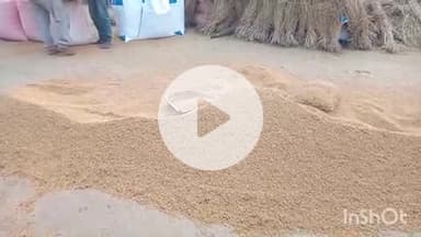 पोड़ैयाहाट: धान क्रय केंद्रों की बेरुखी से पोड़ैयाहाट के किसान परेशान