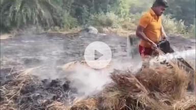 ପାରଳାଖେମୁଣ୍ଡି: ସୁନାପୂର ଗାଁର ପାଞ୍ଚ ଜଣଙ୍କ ଧାନ ଗଦାରେ ନିଆଁ ଲାଗି ଫସଲ ନଷ୍ଟ