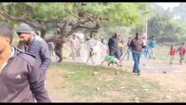 बक्सर: नाथ बाबा मंदिर परिसर से 2 चंदन के पेड़ चोरी, जांच हुई तेज, गंगा नदी में नाव से तलाशी अभियान