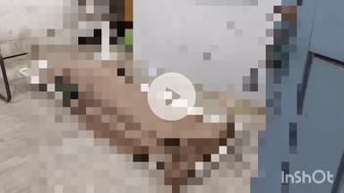 नारदीगंज: नवादा: कोसला गांव के पास से एक महिला का शव पुलिस ने किया बरामद, मृतक महिला की पहचान हुई