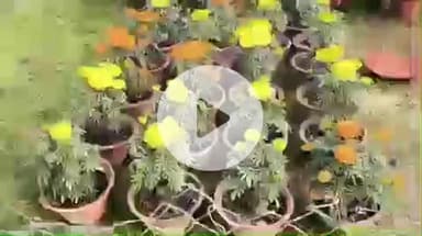 BHU में तीन दिवसीय पुष्प प्रदर्शनी का आयोजन, ज्ञान से विज्ञान के थीम पर गगनयान होगा मुख्य आकर्षण का केंद्र