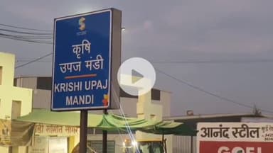 सागर नगर: सागर कृषि उपज मंडी में व्यापारियों की अनिश्चितकालीन हड़ताल, अनाज लेकर पहुंचे किसान खाली हाथ लौटे