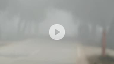 बस्ती: बस्ती जनपद में घने कोहरे ने रोकी वाहनों की रफ्तार, गलन ने बढ़ाई लोगों की मुश्किलें