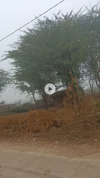 babekhar gaam me kora padta huaa

#viral #video #reel