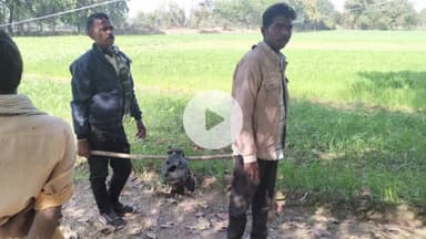 खरगापुर: खरगापुर विद्युत वितरण में विद्युत विभाग ने बिना कनेक्शन की मोटरें ज़ब्त कीं