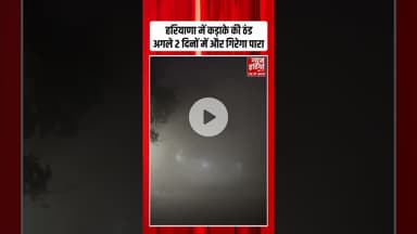 Haryana में कड़ाके की ठंड...अगले 2 दिनों में और गिरेगा पारा | #haryanaweather #coldwave #shorts