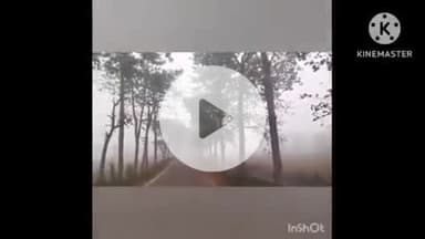 कतरीसराय: कतरीसराय में घना कोहरा, जनजीवन प्रभावित, बच्चों के स्वास्थ्य पर असर