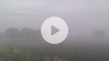 सुनेल: क्षेत्र में सीजन में पहली बार कोहरे ने दी दस्तक, फसलों में फूल बार होने का खतरा बढ़ा