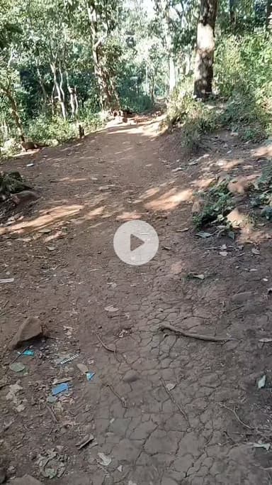 अमरकंटक में कपिलधारा दूधधारा