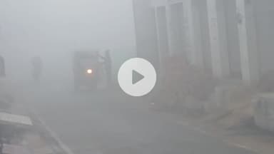 आंवला: आंवला में घने कोहरे के कारण दृश्यता कम, यातायात प्रभावित और वाहनों की रफ्तार धीमी