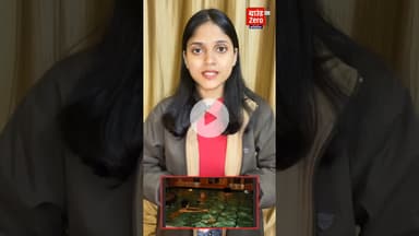 एपस्टीन ‘डार्क फाइल’: नाम, तस्वीरें और सियासी भूचाल #groundzerobharat