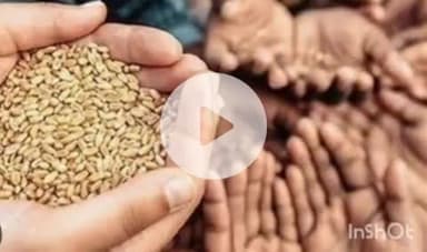 बारां: बारां जिले में 433 अपात्र किसानों ने खाद्य सुरक्षा गेहूं लिया, आधार: जनाधार डाटा जांच में हुआ खुलासा