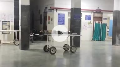 सागर नगर: गोपालगंज: बुंदेलखंड मेडिकल कॉलेज के सामने सड़क किनारे मिला अज्ञात शव, क्षेत्र में सनसनी