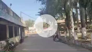 गाडरवारा: टीन सेट के बाहर भी किसानों के अनाज की तुलाई का कार्य जारी