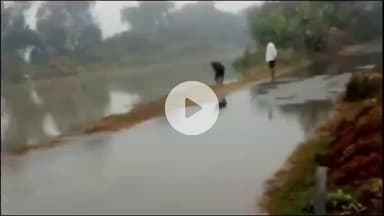 इटावा: बसरेहर इलाके में नहर का पानी ओवरफ्लो होने से खेतों में घुसा, कई बीघा फसल जलमग्न हुई, SDM सदर ने पहुंचकर लिया जायजा