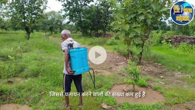 घुटेही बीट में वृक्षारोपण बना आदिवासी लोगों के लिए जीवको उपार्जन का साधन