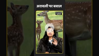 Aravali hills पर supreme court के फैसले के बाद BJP विपक्ष पर हमलावर #aravali #aravalihills #ytshorts