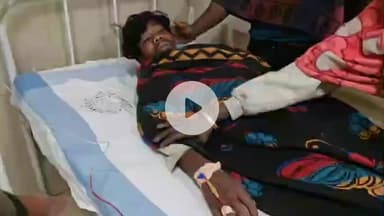 कटिहार: श्रीकोल गांव में पशु को चारा देते समय किशोर हुआ सर्पदंश का शिकार, इलाज के बाद बची जान