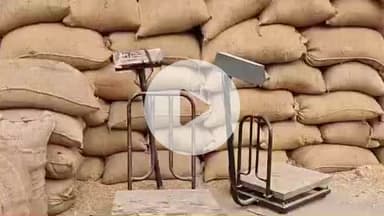 पीलीभीत: पीलीभीत मंडी में धान की आवक ना के बराबर होने के बावजूद कागजों में फर्जी धान खरीद का आंकड़ा दौड़ रहा है