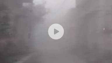 बीरपुर: प्रखंड क्षेत्र में घने कुहासे के बाद खिली धूप, शीतलहर से राहत नहीं