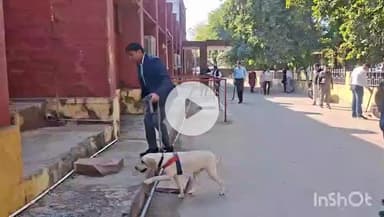 धौलपुर: कलेक्ट्रेट धौलपुर को बम से उड़ाने की मिली धमकी, मेल पर मिली धमकी के बाद मचा हड़कंप, कलेक्ट्रेट और एसपी ऑफिस कराए खाली