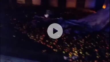 राहुवास: दिल्ली-मुंबई एक्सप्रेस-वे पर टायर फटने से टमाटरों के कैरेट से भरी पिकअप अनियंत्रित होकर पलटी, सड़क पर बिखरे टमाटर