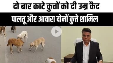 आवारा कुत्तों पर सख्ती: यूपी सरकार के आदेश के बाद ‘उम्रकैद’ की सजा, जानिए पूरा मामला